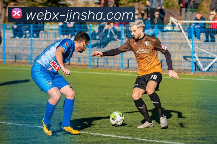 澳门金沙官网全站App 澳门金沙官网全站App